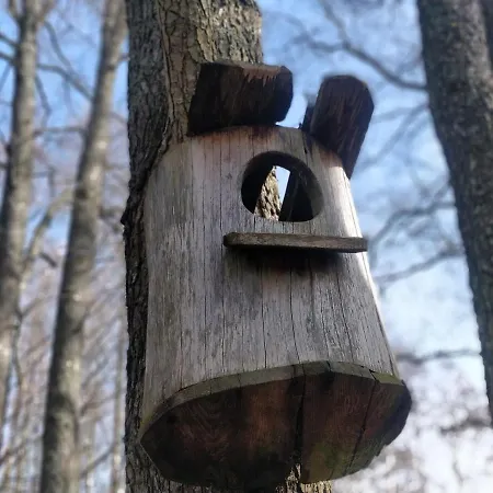 Semesterbostad Puhkemajad *